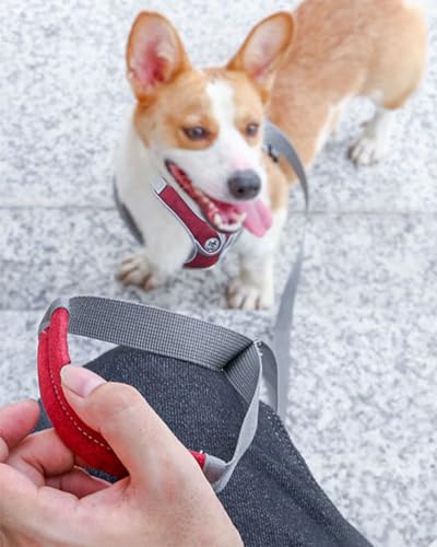 Medium Dog Harness and Leash Set,No Pull Adjustable Step in Soft Mesh Vest Harness,Easy Walk Reflective Pet Harness with Padded Handle for Walking Training Small Medium Large Dogs and Cats (Red, M) - color: Red, size: M