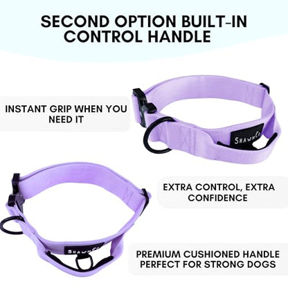 ShawnCo Basecamp Dog Collar- Premium, Adjustable, Heavy-Duty Nylon Tactical Dog Collar with Metal Buckle for Medium and Large Dogs (Oceanic Blue, S) - color: Oceanic Blue, size: S- No Handle