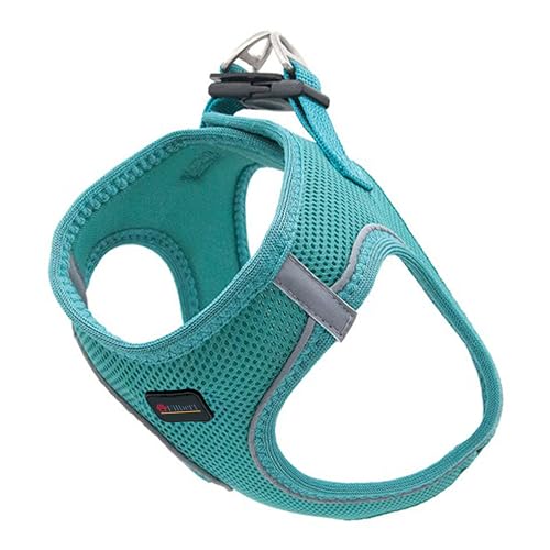 Filbert Dog Harness Large Sized Dog, Step-in Reflective Harness Large Sized Dogs, Mesh Vest, Adjustable, Soft, High Reflectivity, Breathable Fabric, Heavy Duty, Viridian Green - color: Viridian Green, size: L (Chest: 18.25 - 20.5")