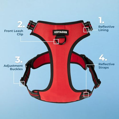 Voyager Dog Harness Dual Leash Attachment No-Pull Control Adjustable Soft but Strong Pet Harness for Medium and Large Dogs with 3M Reflective Technology, Leash Set Red Nylon, XS (Chest: 13-16") - color: Leash Set Red Nylon, size: XS (Chest: 13 - 16")
