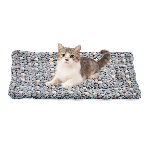 Dog Cat Bed Mat, Soft Coral Fleece Pet Cushion Pad with Cute Star Print, Warm Washable Pet Bed 23x18 Inches, (Dark Gray), Intended for Medium Small Dog Cat - color: Dark Gray, size: 23x18 inch
