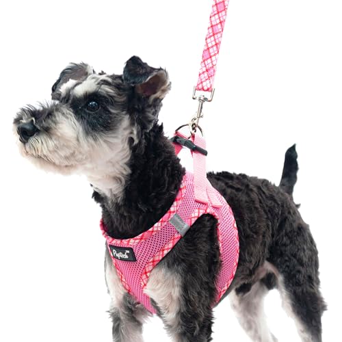 PUPTECK Dog Harness and Leash Set for Small Medium Dogs No Pull Step-in Soft Mesh Puppy Cat Vest Harnesses Reflective at Night, Pink S - color: #1 Pink(Basic Mesh), size: S(CHEST 14.5"-16", 6.6-14 lbs)