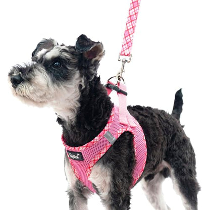 PUPTECK Dog Harness and Leash Set for Small Medium Dogs No Pull Step-in Soft Mesh Puppy Cat Vest Harnesses Reflective at Night, Pink S - color: #1 Pink(Basic Mesh), size: S(CHEST 14.5"-16", 6.6-14 lbs)