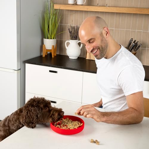 Should We Go? Slow Feeder for Dogs & Puppies, The Slowdown Bowl Silicone Slow Eating, Modern Lick Mat Design, Reduces Gulping, Fits 2 Cups, 7.5” Across x 1.5” Tall, Mealtime Challenge, Medium-Cherry - color: Cherry - Rainbow Design, size: Medium (7.5” Acr