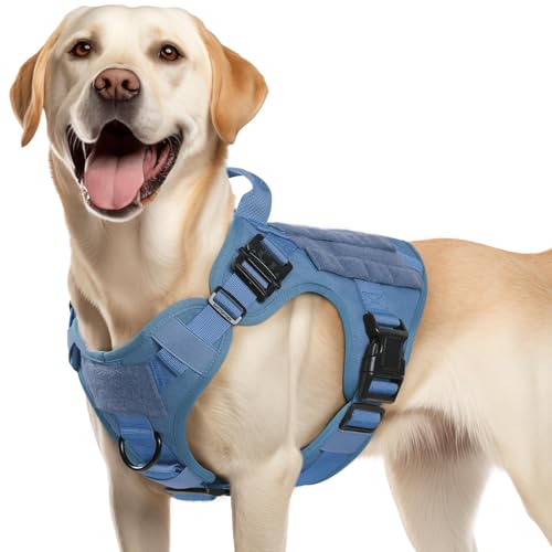 rabbitgoo Tactical Dog Harness Medium Sized, Heavy Duty Pet Harness with Handle, No-Pull Service Vest Medium Breed, Adjustable Military Dog Vest for Training Hunting Walking, Blue, M - color: Blue, size: Medium