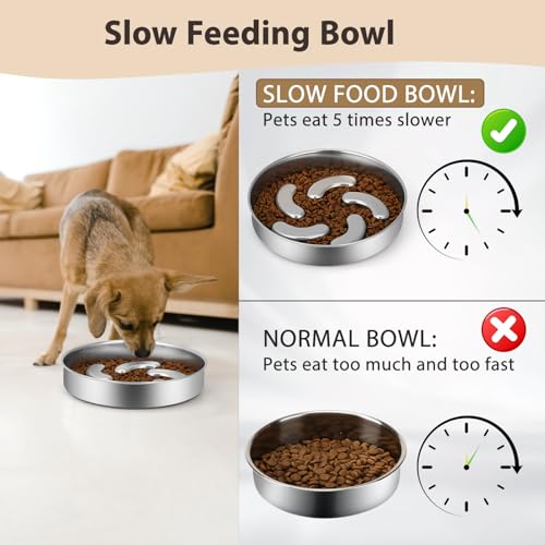 Slow Feeder Dog Bowl Stainless Steel, 2 Cups Heavy Duty with Non-Slip Base Dog Food Bowls for Small Medium Large Breed Size Dogs to Slow Down Eating