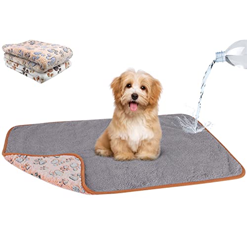 Waterproof Dog Blankets, 2 Pack Washable Dog Blankets for Bed Couch Sofa Protector Fleece Flannel Puppy Blanket Soft Plush Reversible Throw Blanket for Small Dog Puppy Cat 30"×20"(White+Coffee) - color: White+coffee(2pack), size: 30"×20"