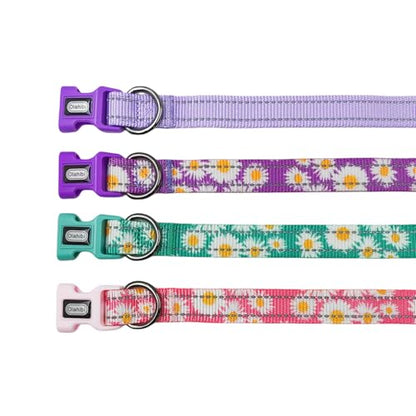 Dog Collar Leash Set, Durable Polyester with Reflective Strips, 5ft Matching Leash, Adjustable 4 Sizes for Small Medium Large Dogs.(XS, Purple) - color: Solid Purple, size: Extra Small