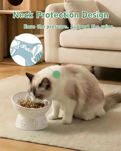 Ceramic Slow Feeder Cat Bowl, 15° Tilted Elevated Cat Slow Eating Bowl for Neck Protection, Anti Vomiting Dog Slow Feeder, Whisker Friendly & No Black Chin for Cats and Small Dogs, Jun Blanc - color: 03-Jun Blanc