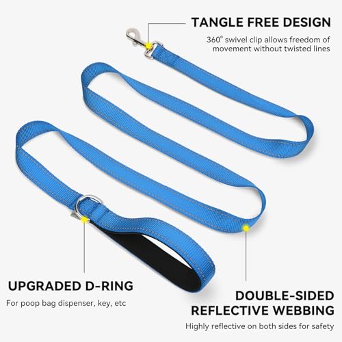Joytale Dog Leash, 4 FT Double-Sided Reflective, Padded Handle Nylon Heavy Duty Leashes for Small Dogs Walking, SkyBlue - color: SkyBlue, size: 4 ft Narrow