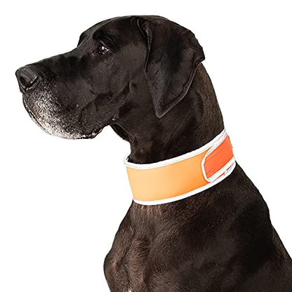CoolerDog Hi-Vis Cooling Dog Collar for X-Large Dogs – Reflective Re-Freezable Ice Collar for Hot Weather & Heat Relief (Orange, X-Large) - size: X-Large