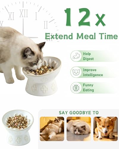 Ceramic Slow Feeder Cat Bowl, 15° Tilted Elevated Cat Slow Eating Bowl for Neck Protection, Anti Vomiting Dog Slow Feeder, Whisker Friendly & No Black Chin for Cats and Small Dogs, Jun Blanc - color: 03-Jun Blanc