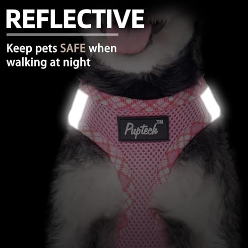 PUPTECK Dog Harness and Leash Set for Small Medium Dogs No Pull Step-in Soft Mesh Puppy Cat Vest Harnesses Reflective at Night, Pink M - color: #1 Pink(Basic Mesh), size: M(CHEST 16"-18", 11-18 lbs)