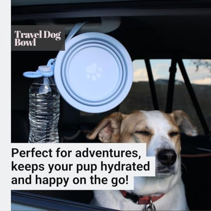 3-in-1 Travel Dog Bowl Set – 30 OZ Stainless Steel + 20 OZ Collapsible Water Bowl Lid | BPA-Free, Anti-Slip, Portable Dog Bowl w/Handle/Poop Bag Holder with Carabiner | Pink Bowls - color: Pink Bowl