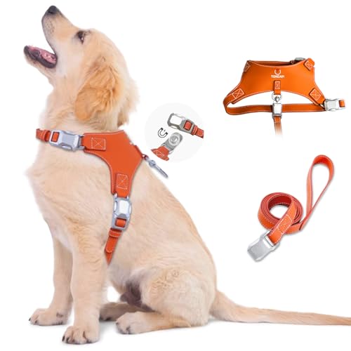Magnetic Puppy Harness and Leash with Quick Release Buckle, Easy On & Off Faux Leather Dog Harness and Leash for Small, Medium, Large Sized Dogs for Training - color: Orange, size: Medium