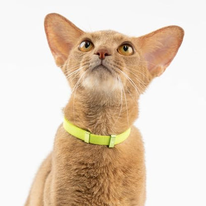 Safety Cat Collar - U.S. IDA Gold Award Design, Stretchy Elastic Quick Release Non Breakaway Cat Collar Light Weight for Kitten All Small Medium Large Cats (Burgundy, S (5.9-11.8 inch)) - color: Burgundy, size: S (5.9-11.8 inch)