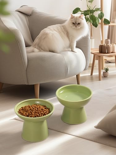 LoeJan Elevated Cat Food and Water Bowls Set, Extra Wide and Raised Ceramic Feeder, Anti-Vomit Whisker-Free Pressure Feeding Bowl for Kittens Adult Cats Small Dogs (Green, Bowl Set) - color: Green, size: 2 Pack (Food & Water Bowls)
