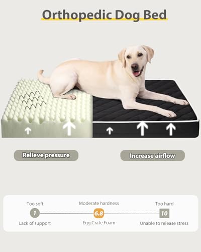 NUPIDA Orthopedic XL Dog Beds Large Sized Dog Waterproof Pet Kennel Pad with Removable Washable Cover and Non-Slip Bottom, 41x27 Inch, Black - color: Black, size: 41.0"L x 27.0"W x 3.5"Th