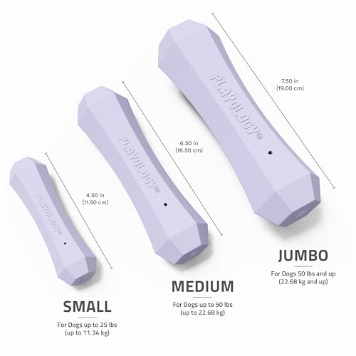 Playology Dog Toys | Squeaky Chew Stick for Dogs | Lamb Scented Medium Fetch Toy | Squeaky Dog Chew Toy - size: Medium, style: Lamb