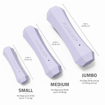 Playology Dog Toys | Squeaky Chew Stick for Dogs | Lamb Scented Medium Fetch Toy | Squeaky Dog Chew Toy - size: Medium, style: Lamb
