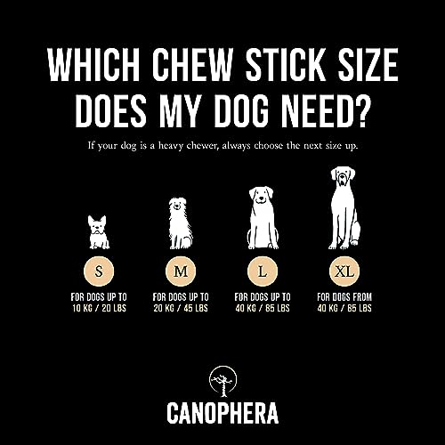 Canophera Dog CHEW Made of Coffee Wood and Coconut Rope - for All Breeds (Large) - size: Large
