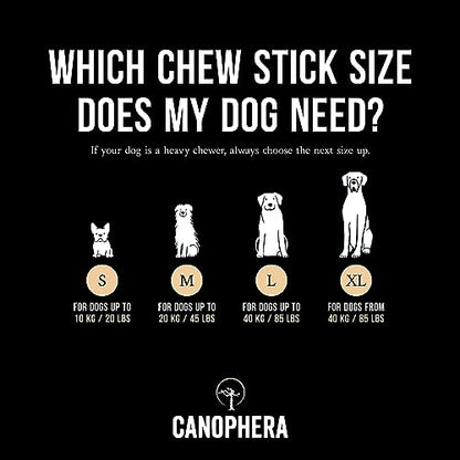 Canophera Dog CHEW Made of Coffee Wood and Coconut Rope - for All Breeds (Large) - size: Large