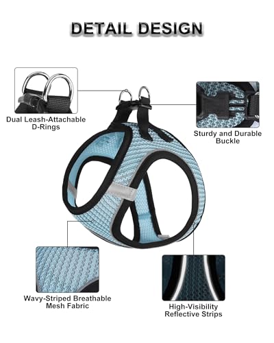 Dog Harness Small Sized and Leash Set, Step in Soft Light Puppy Vest, Breathable Mesh Pet Harness Suitable for Puppies and Kittens. (Blue, XXS(Chest:10.24-11.81")) - color: Blue, size: XXS(Chest:10.24-11.81")