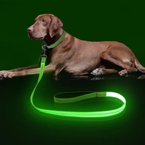 Colaseeme Light Up Dog Leash, LED Pet Leashes USB Rechargeable, Glow Safety Dogs Lights at Night (4FT,Green-New) - color: Green (New), size: 4FT