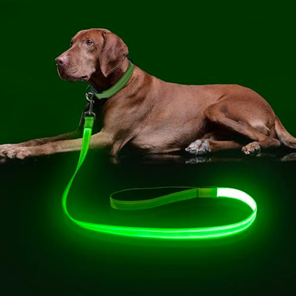 Colaseeme Light Up Dog Leash, LED Pet Leashes USB Rechargeable, Glow Safety Dogs Lights at Night (4FT,Green-New) - color: Green (New), size: 4FT