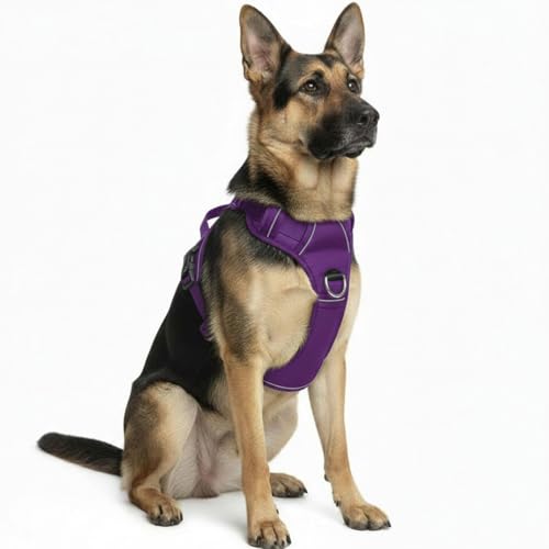 No Pull Dog Harness with 2 Leash Clips, Adjustable Soft Padded Reflective Oxford Pet Vest with Easy Control Handle for Large Dogs (Purple, Extra Large) - color: Purple, size: Extra Large