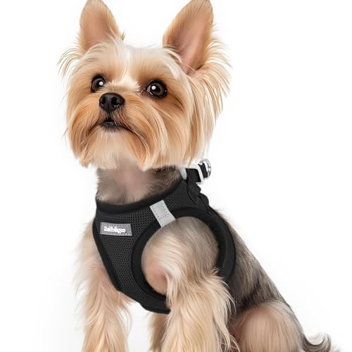 rabbitgoo Small Dog Harness, Step-in Soft Mesh Puppy Vest with Safety Buckle, Breathable Reflective Pet Harness for Small Sized Dogs, Black XS - color: Black, size: Xs(chest:13.3"-15.5")