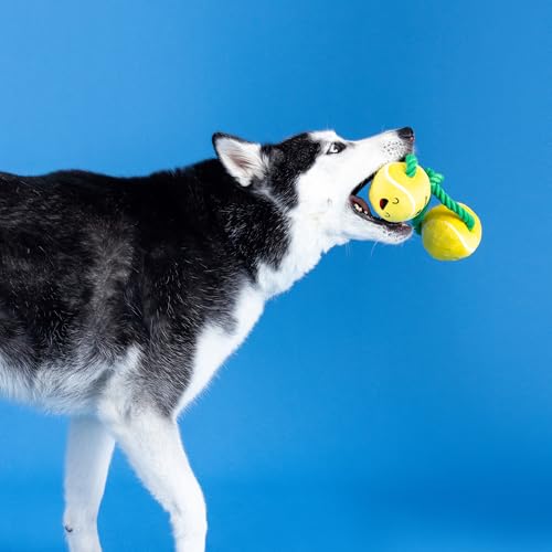 Fringe Studio Plush Dog Toy with Rope, Game, Set, Match, Pet Shop Collection (314239) - color: Game, Set, Match