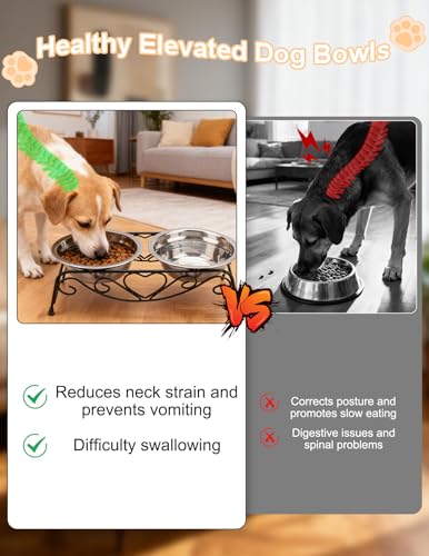 Small Dog Bowls with Metal Stand for Small Breeds Cats and Puppies 3.4 Inch Fixed Height Elevated Feeder with 2 Removable Stainless Steel Bowls