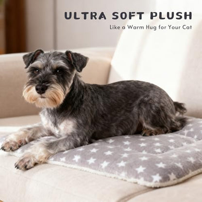 Dog Blankets for Small Dogs, 2-Pack Washable Plush Pet Mat - Soft & Warm Reversible Puppy Blankets for Couch, Bed, Crate& Travel Carrier - size: 31"x22"