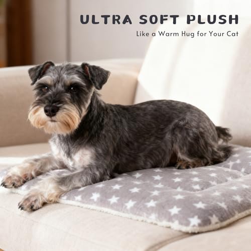 Dog Blankets for Small Dogs, 2-Pack Washable Plush Pet Mat - Soft & Warm Reversible Puppy Blankets for Couch, Bed, Crate& Travel Carrier - size: 26"x19"