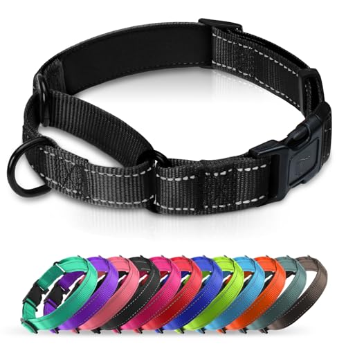 Martingale Collar for Dogs with Quick Release Buckle, Reflective Soft Padded & Escape Proof, Adjustable Nylon Dog Collars for Training & Daily Walking (Black,S) - color: Black, size: S:width 3/4"neck 12-14.5"