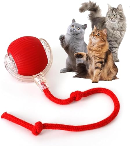Rocfish Durable Interactive Cat Toys for Indoor Cats, Smart Automatic Cat Chase Ball Toy, Upgraded Speedy Tail Kitten Toy for Bored Indoor Adult Pets (Red) - color: Red