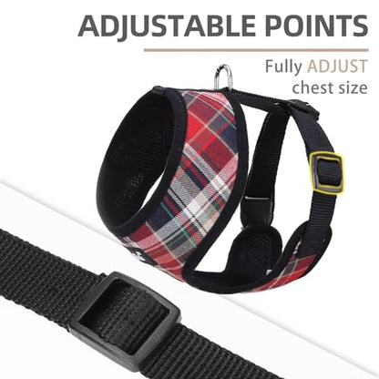 PUPTECK Soft Mesh Dog Harness and Leash Set Pet Puppy Cat Comfort Padded Vest No Pull Harnesses, Red Mixed, XS - color: Red Mixed, size: XS (NECK: 10", CHEST: 10"-14")