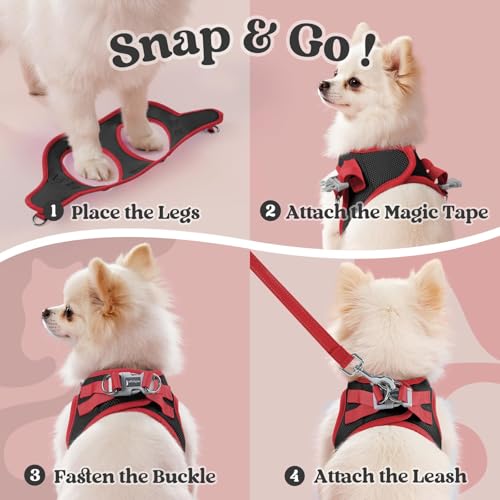 rabbitgoo Dog Harness Small Sized and Leash Set, Step-in Breathable Pet Harness, Soft Walking Reflective Puppy Vest for Small Dogs, Black & Red, XXS - color: Black & Red, size: XXS (Chest: 12.4 - 14.2")