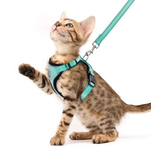 PUPTECK Cat Harness and Leash Set Escape Proof Reflective Cat Walking Harness Adjustable Soft Breathable Mesh Vest for Small Pets, Aquamarine, XS - color: Aquamarine, size: XS (NECK 8.5", CHEST 11"-14")