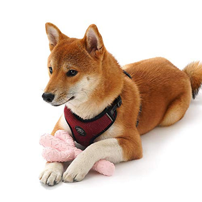 MewaJump Dog Chew Toys, Tough Rubber Dog Toys for Aggressive Chewers, Cactus Dog Toy for Training and Cleaning Teeth, Pink Cute Dog Toys for Medium/Large Dog - color: Pink Cactus