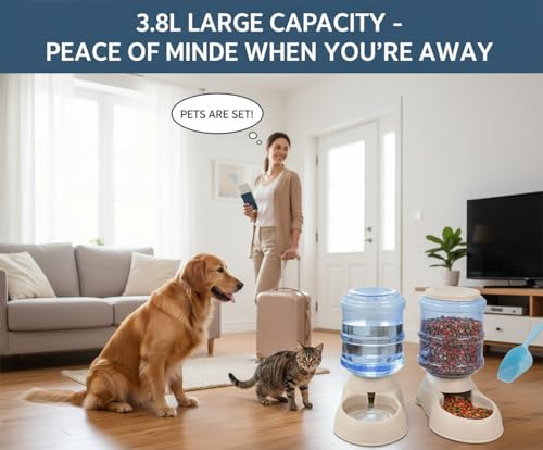 Pet Feeding Solution Automatic Cat & Dog Cafe Feeder and Water Dispenser in Set with Food Scoop - Ito Rocky 6-Meal Automatic Food Dispenser for Small/Middle Puppy and Kitten - color: Grey Feeder and Water Dispender