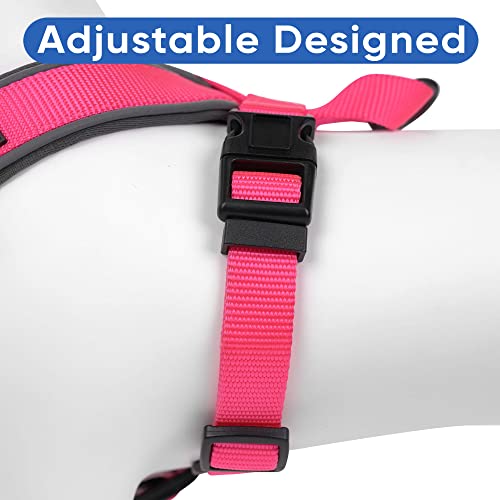 Pawtitas Reflective Padded Dog Harness for Medium Dogs – Adjustable Step-in Vest | Fits Chest 22–28 in | No Pull Training Harness | M | Pink - color: Pink, size: Medium (Pack of 1)