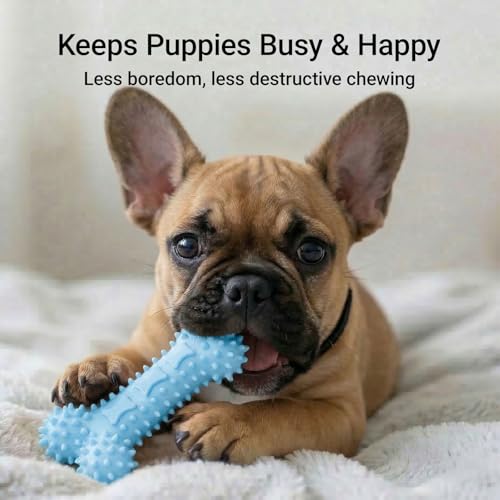 Puppy Chew Toys 6 Pack, Soft TPR Teething Toys for Puppies 2–10 Months, BPA Free Non Toxic Set with Treat Dispensing Stick, Tug Ring & Squeaky Ball for Small Medium Dogs (Blue) - color: Blue