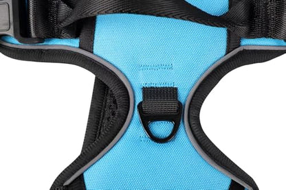 Blue No-Pull Dog Harness with 2 Leash Clips，Soft Padded Vest for Small Dog, Adjustable Reflective Dog Vest Easy to Put on and Take Off,(Neck: 13"~17", Chest: 17"~21",Blue Small) - color: Blue, size: Small