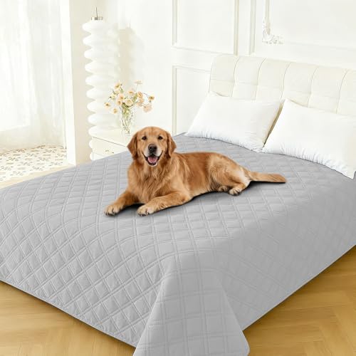 Waterproof Dog Blanket, Non-Slip Soft Pet Bed Cover, Couch Cover for Dogs Washable, Protects Sofa, Furniture, Crate, Car, Tear Resistant Leakproof Pet Blanket (30x53 Inch, Light Grey) - color: Light Grey, size: 30" x 53" (Pack of 1)