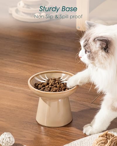 vancasso Elevated Cat Food Bowls 2-Pack, 6.2" Wide Shallow Cat Feeding Bowl for Whisker Fatigue, 5.1" Height Ceramic Raised Food Bowls for Senior Cats, Anti Vomit, Brown - color: Brown-Food 2-pack
