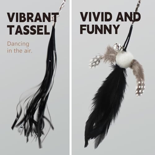 Cat Wand Toys for Indoor Cats - Cat Toy Set with Retractable Teaser Wand and 6 PCS Feather Toy Refills, Dragonfly Tassel Cat Toys Interactive, Black - color: Black