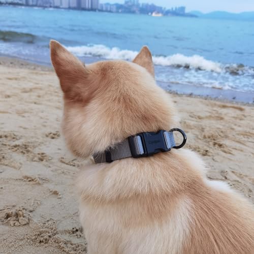 Premium Classic Nylon Webbing Adjustable Dog Collars,Soft and Smooth Traditional 3/4 Inch Wide Dog Collars with Quick Release Buckle for Medium Dogs Daily Helper. (Medium, Ultimate Grey) - color: Ultimate Grey, size: Medium 13-17 Inches