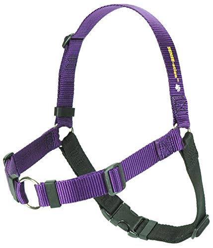 Sense-ation No-Pull Dog Harness - 1" Medium/Large